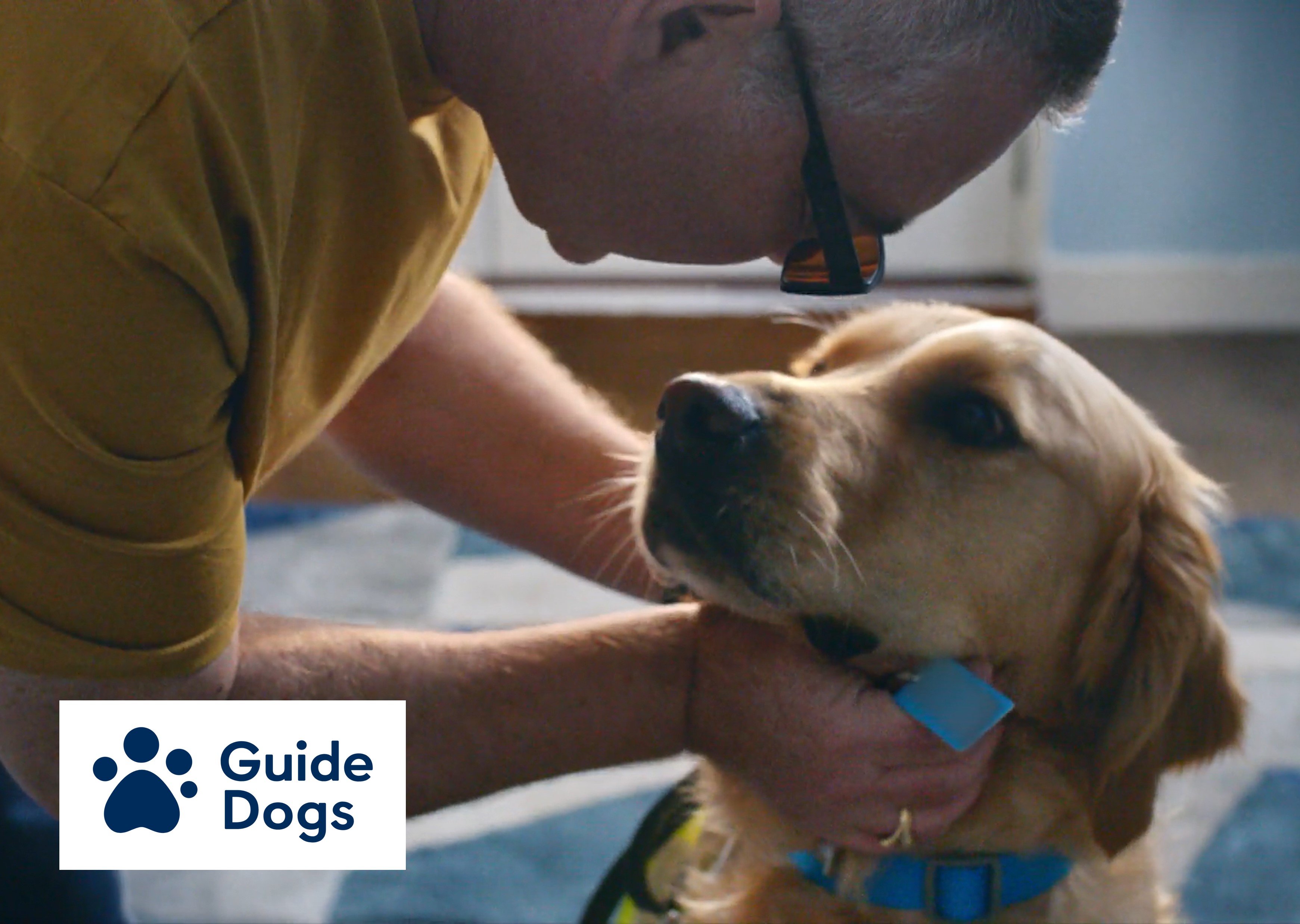 Guide Dogs UK Catsnake The Story Agency